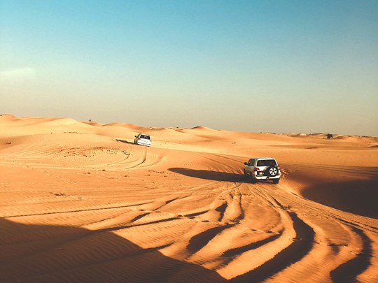 Aventurez-vous dans les dunes dorées du désert