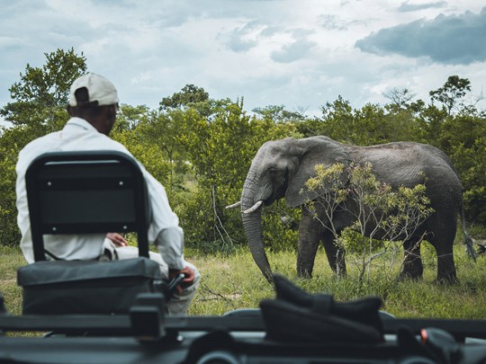 Au plus près des éléments en Afrique du Sud