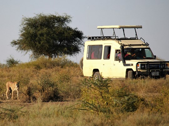 Un safari pour voir les Big Five