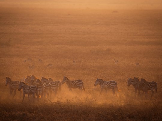 Les couleurs de la savane au coucher du jour