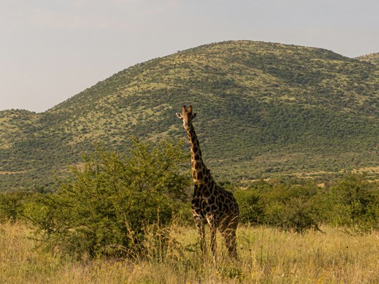 Prenez des photos mémorables