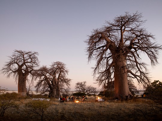 Makgadikgadi