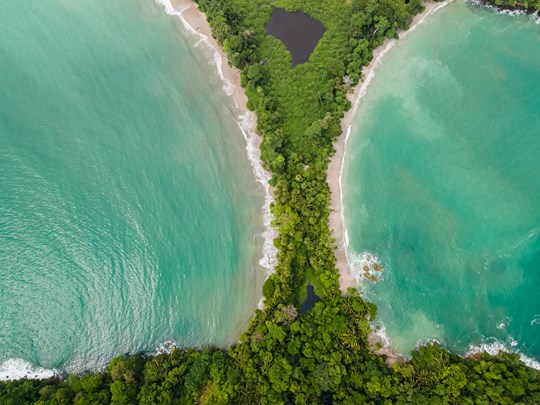 Quand la végétation embrasse l'eau turquoise