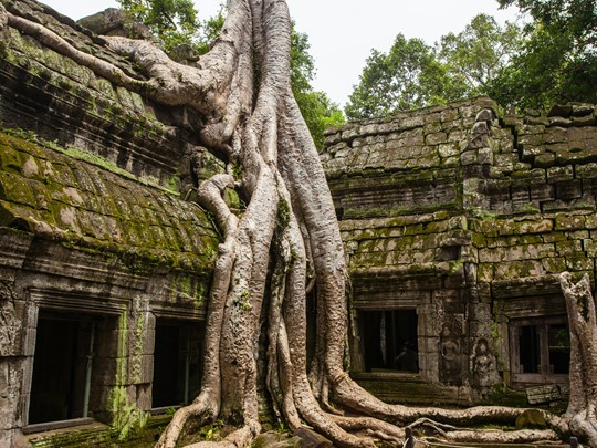 Profitez en pour visiter les temples d'Angkor au Cambodge
