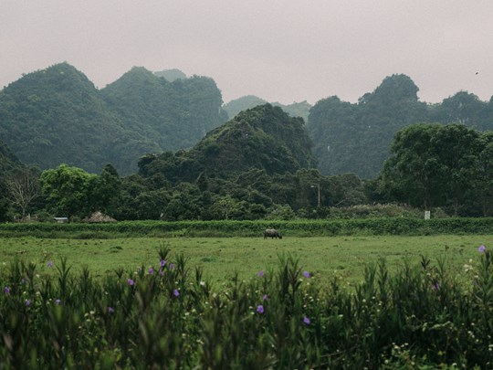 La vie à la campagne, du côté de Mai Chau