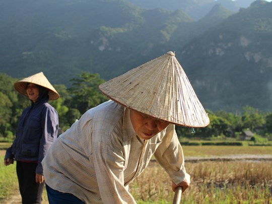 En immersion à deux au Vietnam