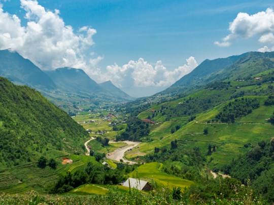 Les rizières du nord 