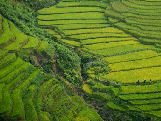 Perdez-vous dans la nature luxuriante du Nord