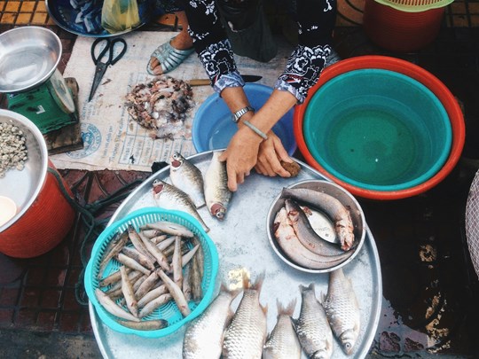 Les marchés traditionnels du Vietnam