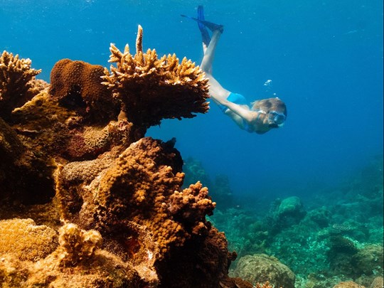 Essayez-vous au snorkeling à Con Dao