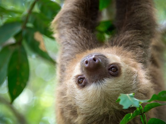 Vous êtes observés !
