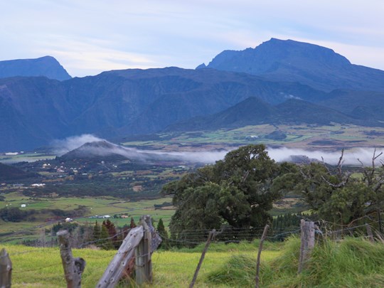 La Plaine des Cafres dans la brume