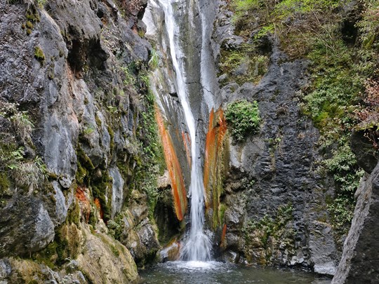 Venez vous rafraichir dans la Cascade du Bras Rouge