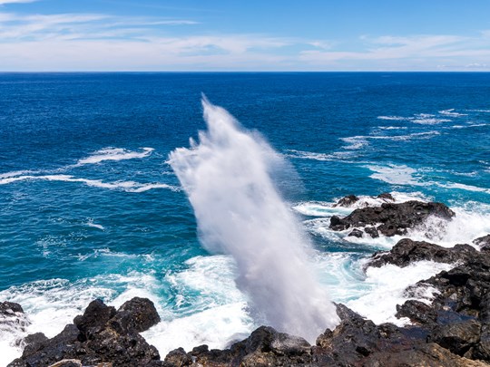 Observez le Souffleur et son jet d'eau formé par la houle