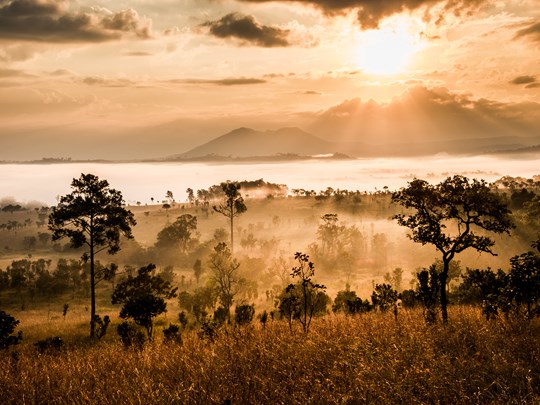 Admirez des panoramas à couper le souffle