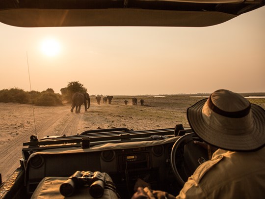 Partez en 4x4 à la découverte du parc et de ses 50 000 éléphants