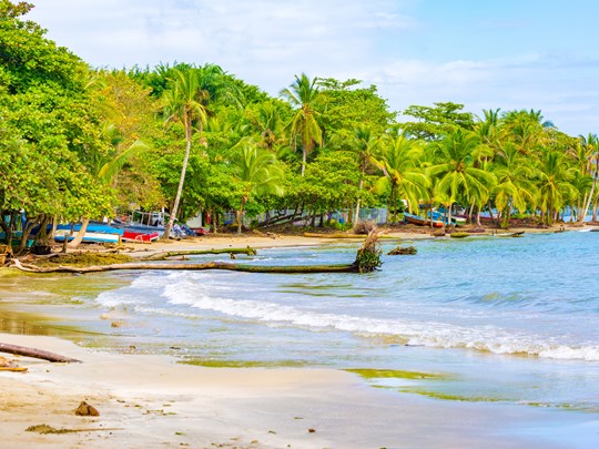 Accédez à une superbe plage sauvage