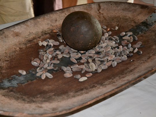 Découverte des traditions et savoirs autour du cacao