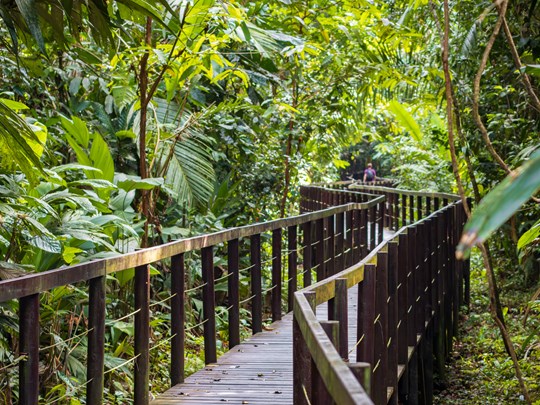 Randonnée dans le parc national de Cahuita