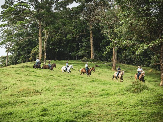 Immersion authentique à cheval