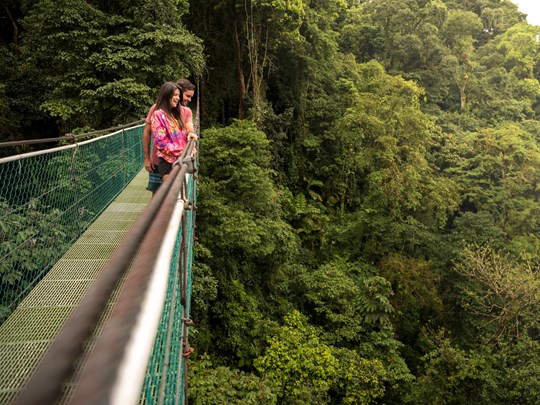 Traversée des ponts suspendus, vue sur la canopée