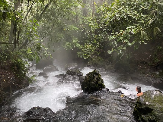 Bien-être naturel au coeur de la jungle