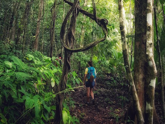 À la découverte des trésors naturels