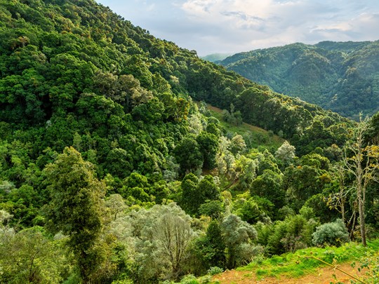 Une nature intacte à couper le souffle
