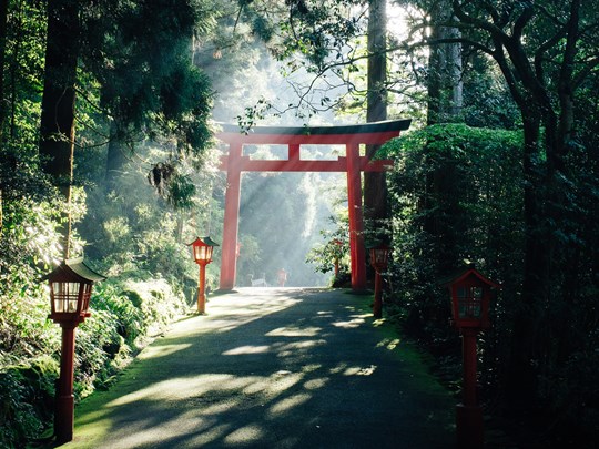 Entrez au cœur d'un parc verdoyant à Hakone
