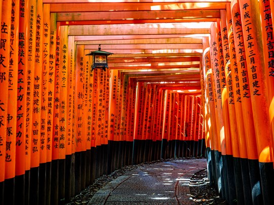 Les célèbres Toriis rouge du Fushimi Inari Taisha