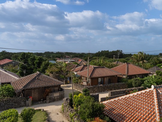 Plongez dans le mode de vie traditionnel de Taketomi