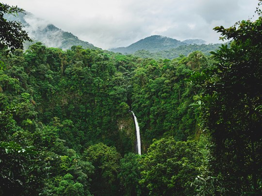 Découvrez de superbes cascades 
