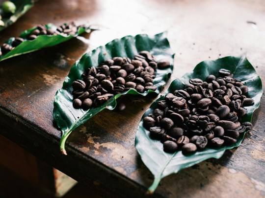 Découvrez l'art du café