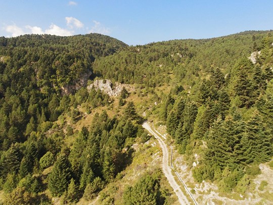 La nature sauvage de Corinthe