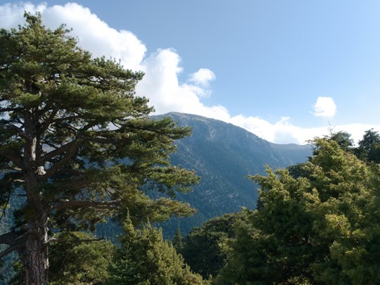 Perdez-vous dans la nature du Péloponnèse
