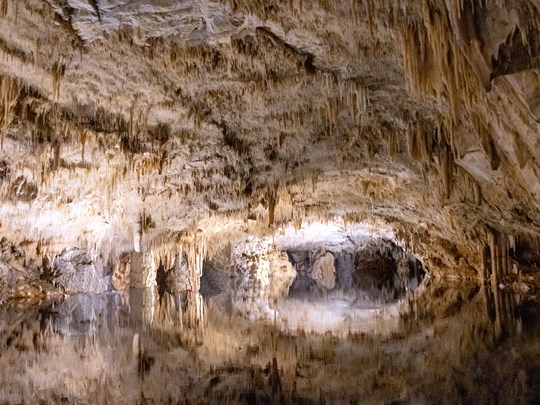 Un monde souterrain spectaculaire