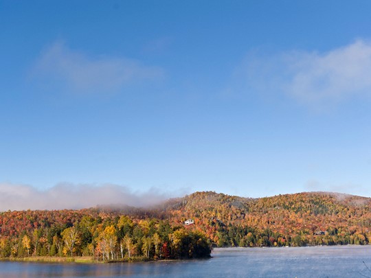 Découvrez les lacs et forêts typiques du Québec