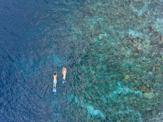 Snorkeling de rêve au Baros Maldives
