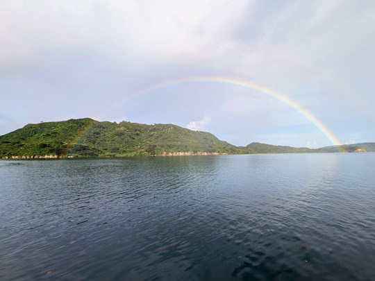 Iriomote, île tapissée d'une jungle épaisse 