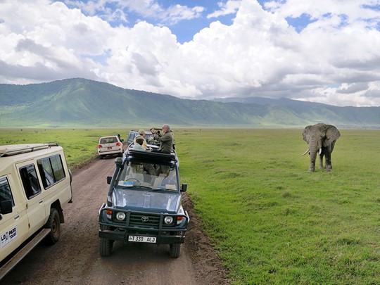 Safari dans le cratère de Ngorongoro