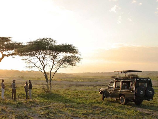 Contemplez les paysages pendant le safari au Serengeti
