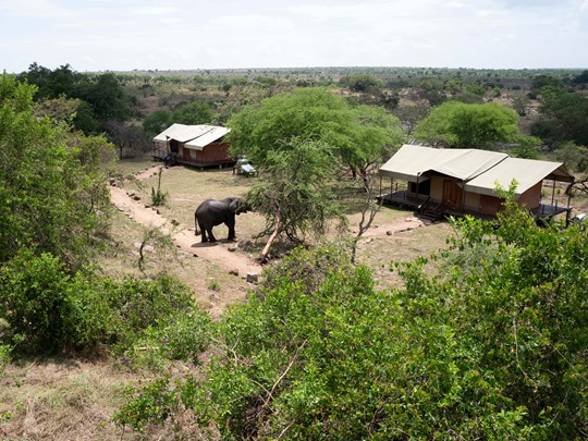 https://media.oovatu.com/43-540/safari-tanzanie-parcs-reserves-animalieres_83080.jpg