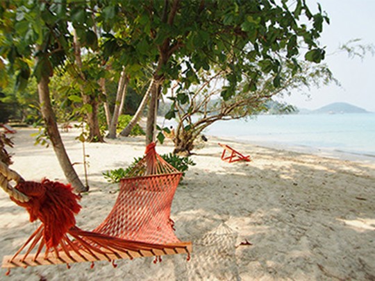 L'environnement idyllique de l'hôtel 