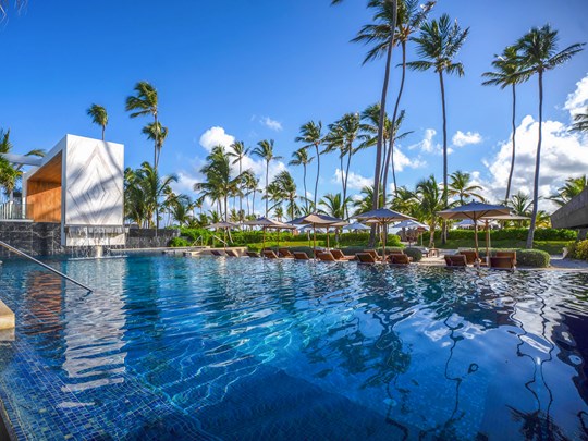 Une oasis tropicale sous le soleil