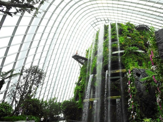 Visitez le Jardin Botanique de Singapour et ses nombreux écosystèmes