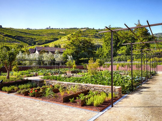 Jardin organique de l'hôtel Six Senses Douro Valley