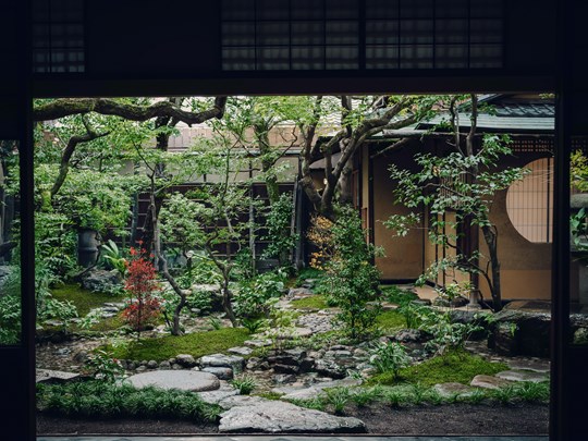 Détente au cœur du jardin zen