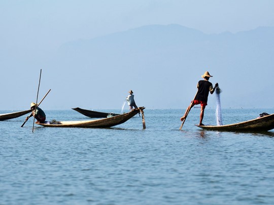 Admirez le ballet des pêcheurs sur le splendide lac Inle. 