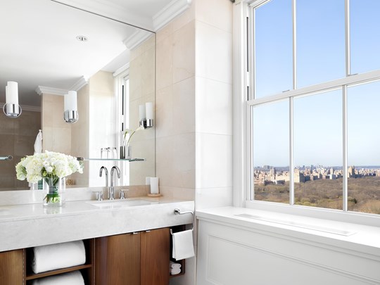 The Pierre New York, Signature Park View Room