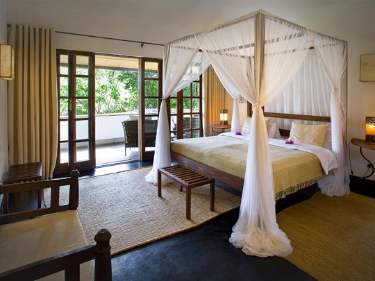 Eucalyptus Suite